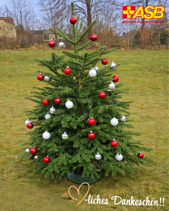 2026-01-06_Weihnachtsbaum.png