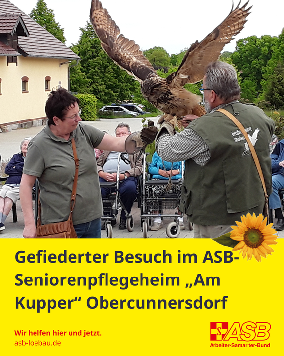 2026-06-15_Falknershow.png