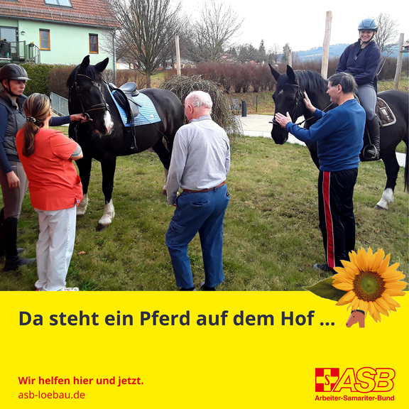 2026-03-13_da_steht_ein_Pferd_auf_dem_Hof.png