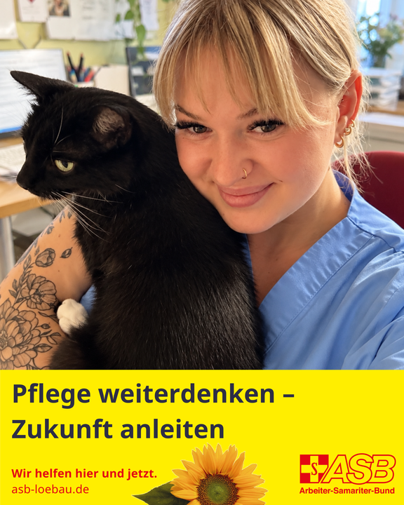 2026-10-16_Warum_PAL.png