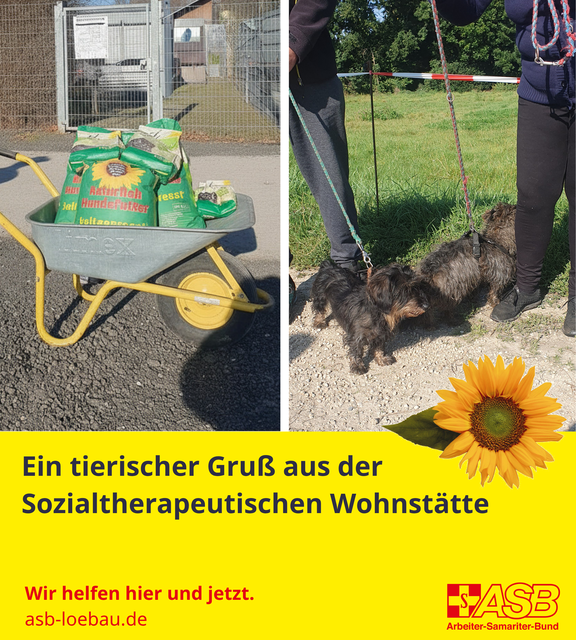 2026-05-27_WST-Tierheim_1_.png